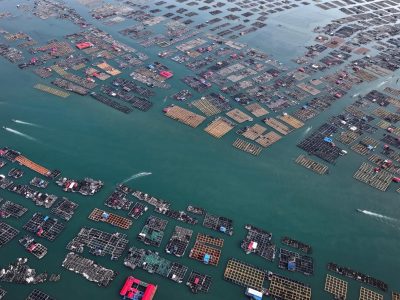 以“海”为桥中国如何促进全球海洋治理？