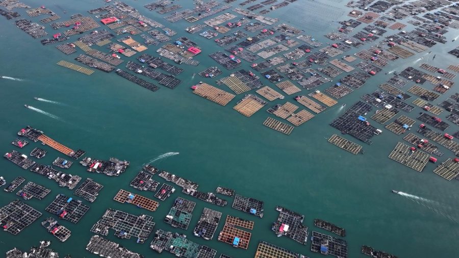 以“海”为桥中国如何促进全球海洋治理？