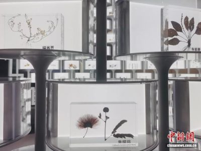 侨胞与海归回国创业“土特产”出海热销