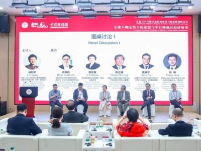 平衡产业红利 破解周期难题：中外专家共议“东盟+3”地区数智变革