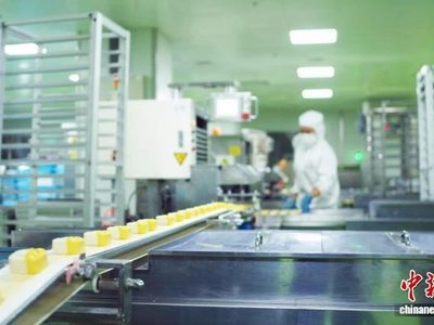 从寄往同乡到行销全球：老字号月饼出海不止乡愁