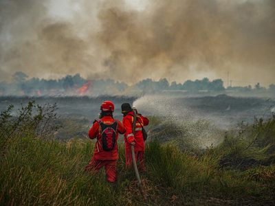 欧盟机构：全球三分一人口暴露于有害空气污染中 亚洲最严重