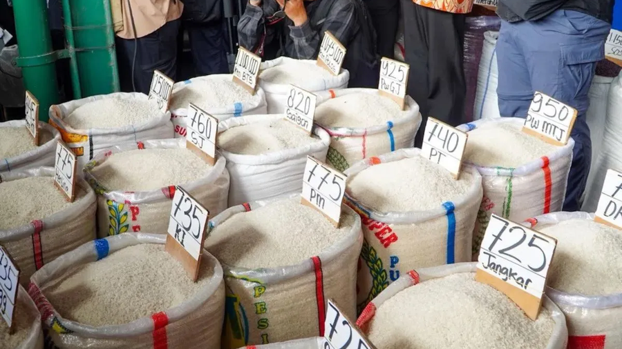 大米价格在116个县/市持续上涨