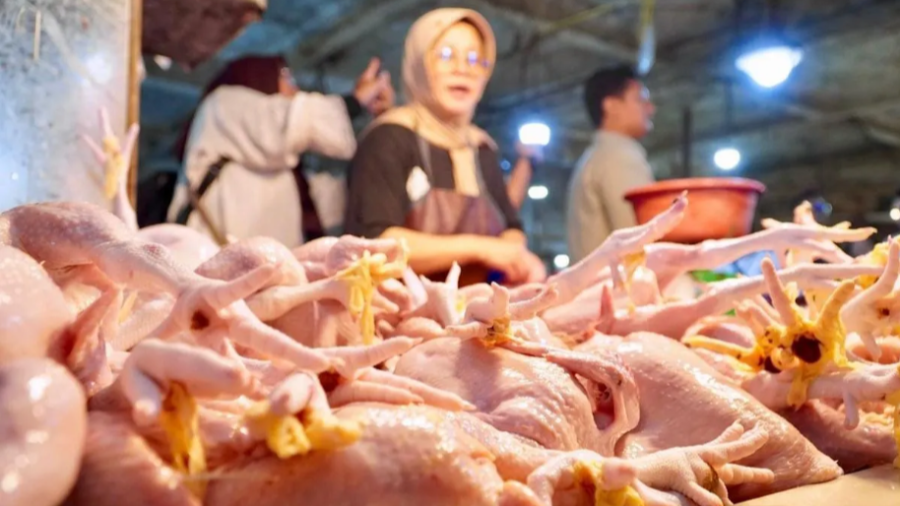议员呼吁调查导致鸡肉价格异常的中间商